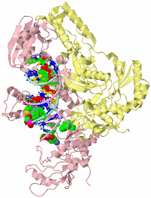 Image Biological Unit 2