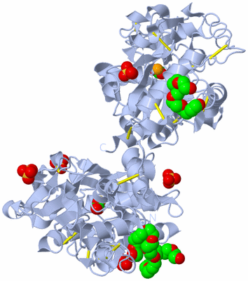 Image Biological Unit 1