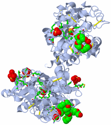 Image Biol. Unit 1 - sites