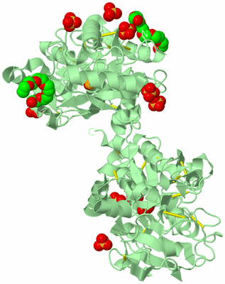 Image Biological Unit 2