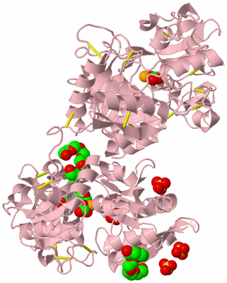 Image Biological Unit 3