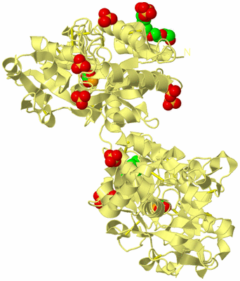 Image Biological Unit 4