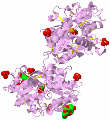 Image Biological Unit 5