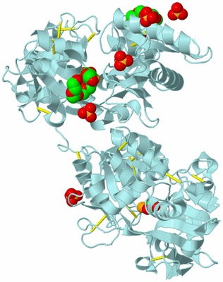 Image Biological Unit 6