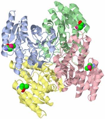 Image Asym./Biol. Unit