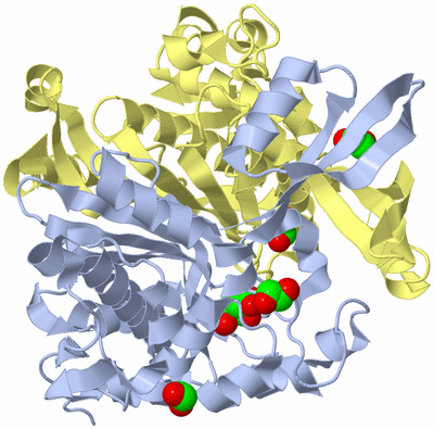 Image Biological Unit 1