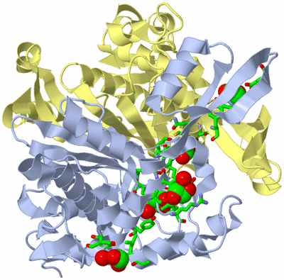 Image Biol. Unit 1 - sites