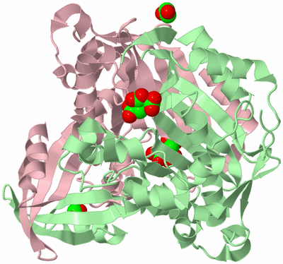 Image Biological Unit 2