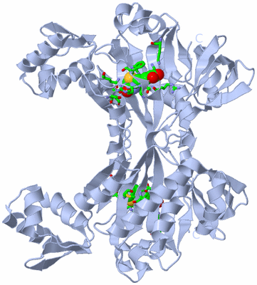 Image Biol. Unit 1 - sites