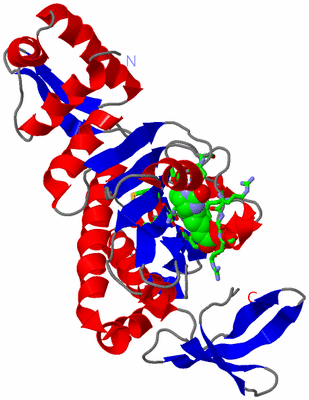 Image Asym. Unit - sites