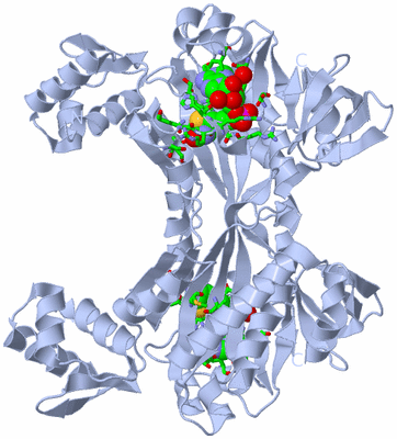 Image Biol. Unit 1 - sites