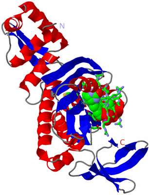 Image Asym. Unit - sites