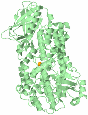 Image Biological Unit 1