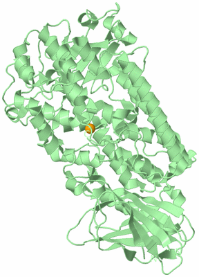 Image Biological Unit 2