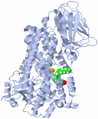 Image Biological Unit 1