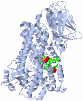 Image Biol. Unit 1 - sites