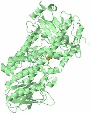 Image Biological Unit 2