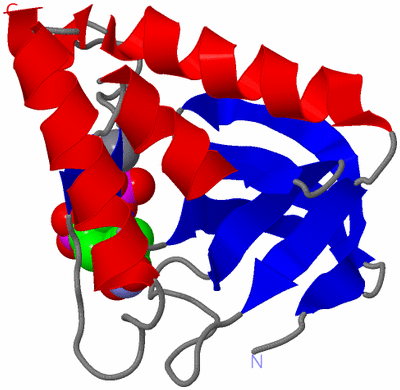 Image Asym./Biol. Unit