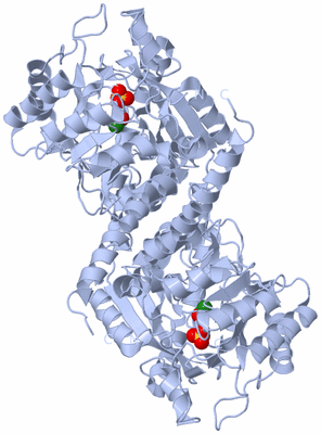 Image Biological Unit 1