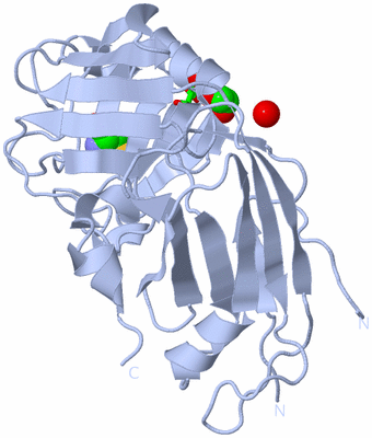 Image Biol. Unit 1 - sites