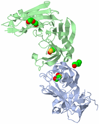 Image Biological Unit 3