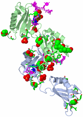 Image Asym./Biol. Unit - sites