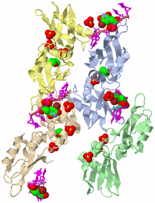 Image Asym./Biol. Unit