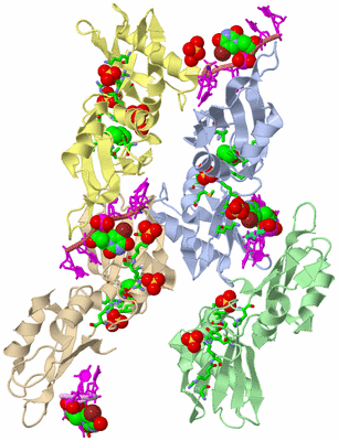 Image Asym./Biol. Unit - sites