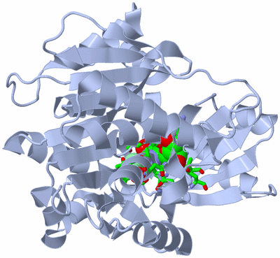 Image Biol. Unit 1 - sites