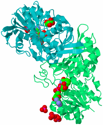 Image Biological Unit 1