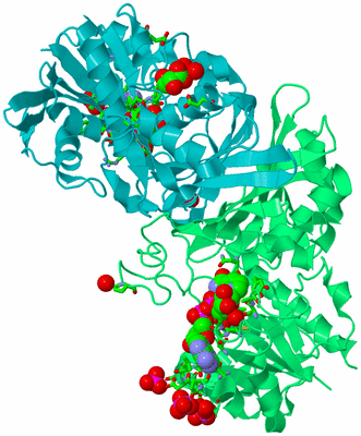 Image Biol. Unit 1 - sites