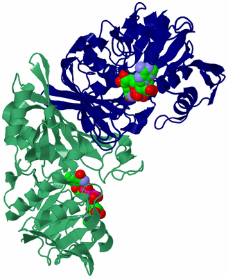 Image Biological Unit 2