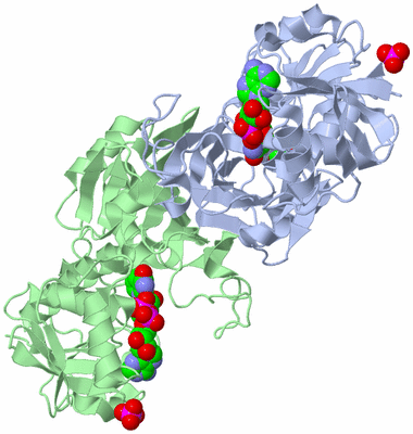 Image Biological Unit 3