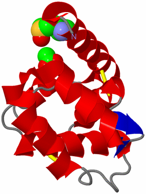 Image Asym./Biol. Unit