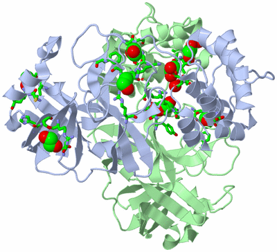 Image Asym./Biol. Unit - sites