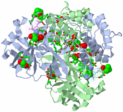 Image Asym./Biol. Unit - sites