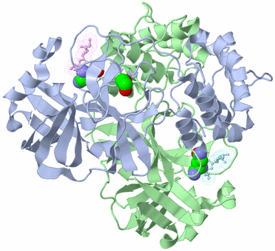 Image Asym./Biol. Unit