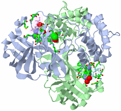 Image Asym./Biol. Unit - sites