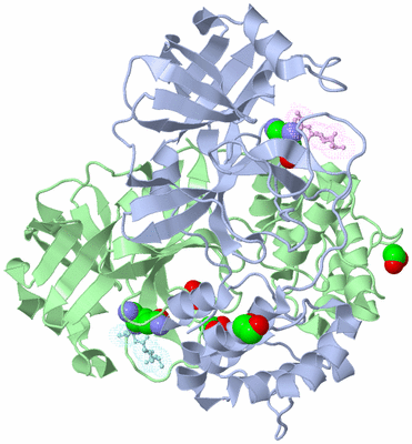 Image Asym./Biol. Unit