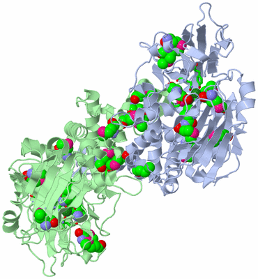 Image Biol. Unit 1 - sites