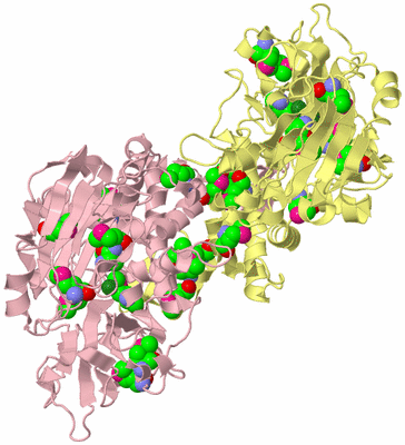 Image Biological Unit 2