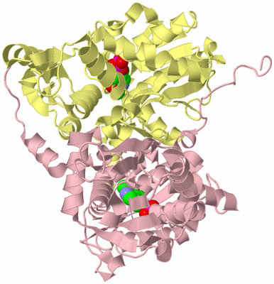 Image Biological Unit 2