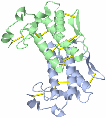 Image Biological Unit 3