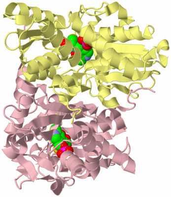 Image Biological Unit 2