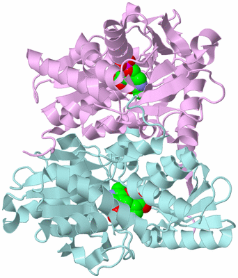 Image Biological Unit 3