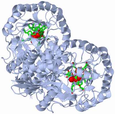 Image Biol. Unit 1 - sites