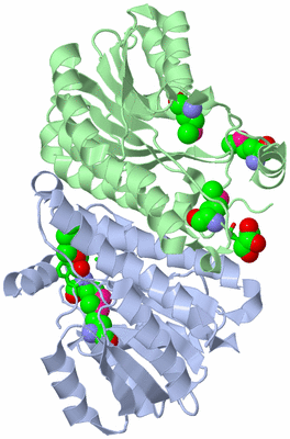 Image Biol. Unit 1 - sites