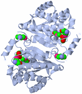 Image Biological Unit 2