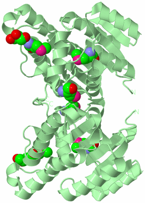 Image Biological Unit 3