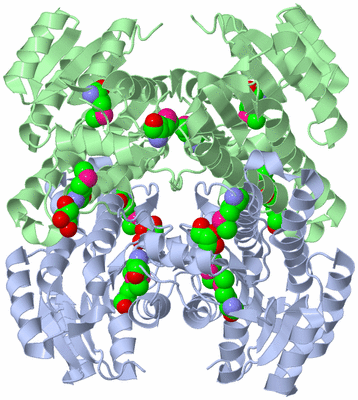 Image Biological Unit 4